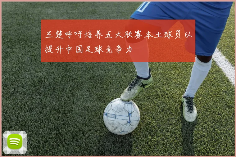 王楚呼吁培养五大联赛本土球员以提升中国足球竞争力